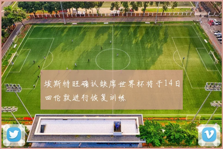 埃斯特旺确认缺席世界杯将于14日回伦敦进行恢复训练