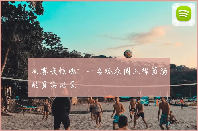 决赛夜惊魂：一名观众闯入绿茵场的真实记录
