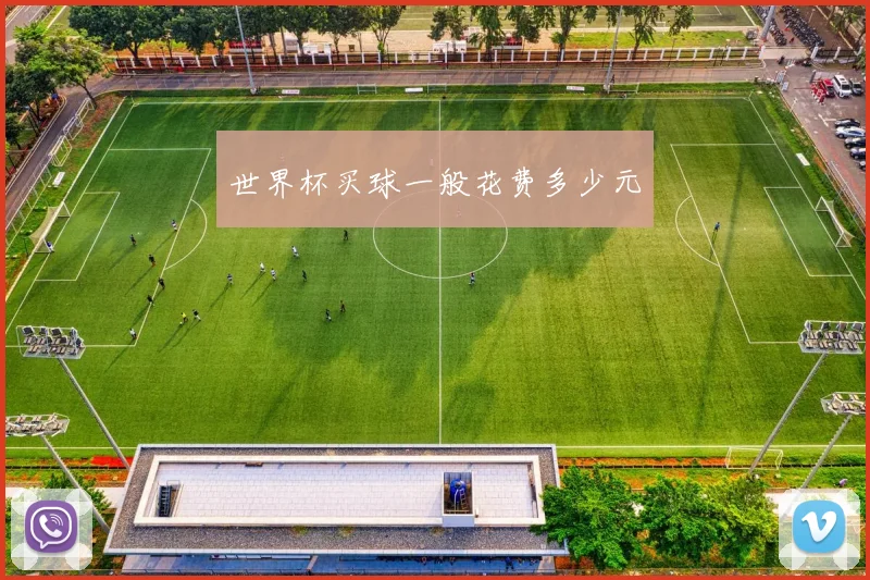 世界杯买球一般花费多少元