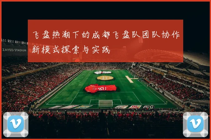 飞盘热潮下的成都飞盘队团队协作新模式探索与实践
