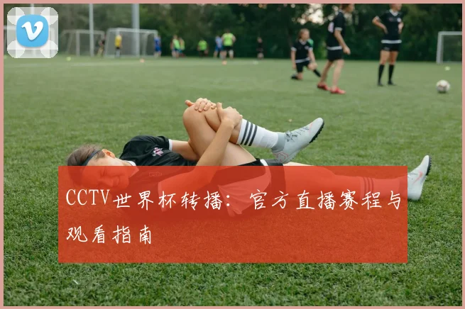 CCTV世界杯转播：官方直播赛程与观看指南