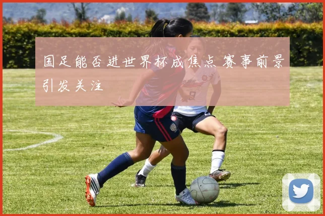国足能否进世界杯成焦点 赛事前景引发关注