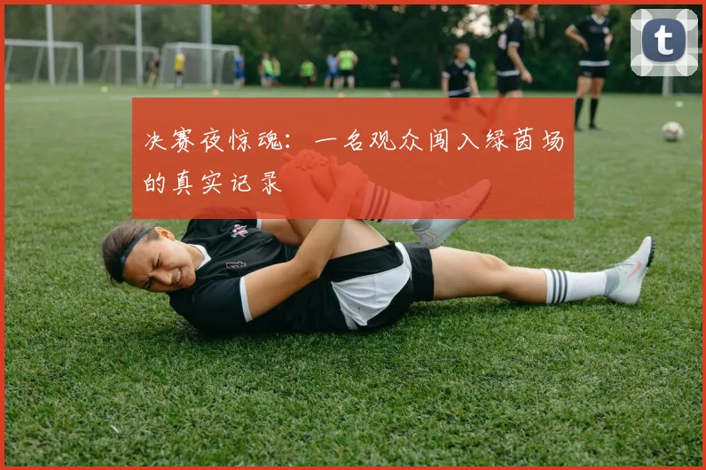 决赛夜惊魂：一名观众闯入绿茵场的真实记录
