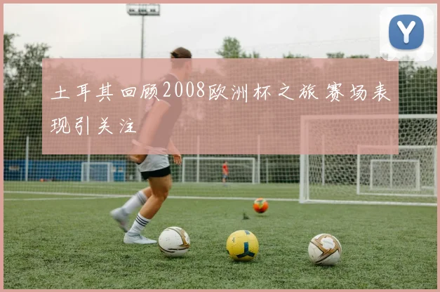 土耳其回顾2008欧洲杯之旅 赛场表现引关注