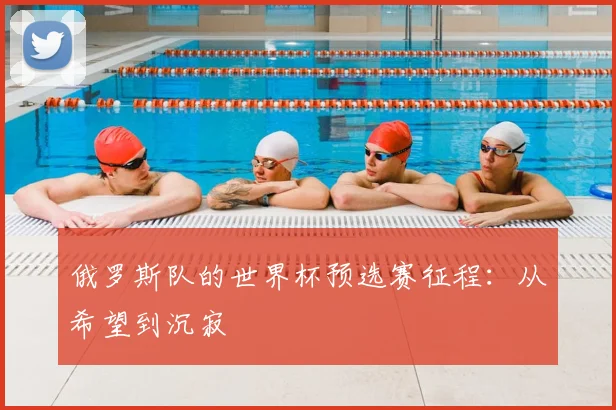 俄罗斯队的世界杯预选赛征程：从希望到沉寂
