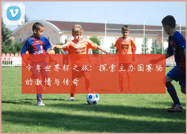 今年世界杯之旅：探索主办国赛场的激情与传奇