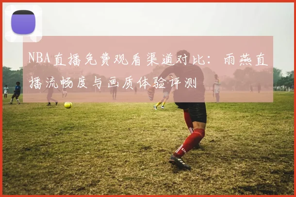 NBA直播免费观看渠道对比：雨燕直播流畅度与画质体验评测