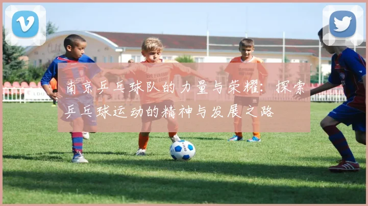南京乒乓球队的力量与荣耀:探索乒乓球运动的精神与发展之路