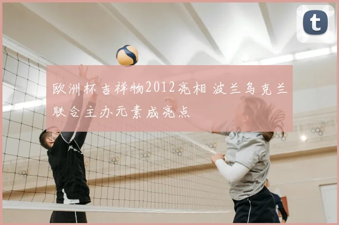 欧洲杯吉祥物2012亮相 波兰乌克兰联合主办元素成亮点